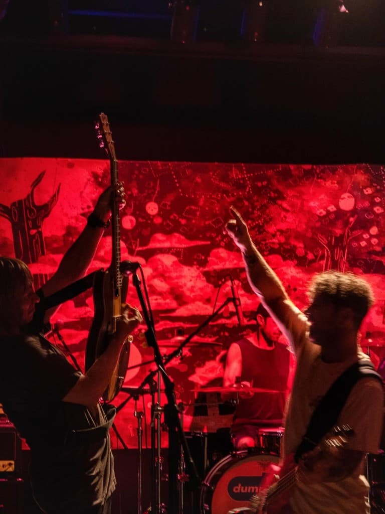Dumpweed performing on stage under dramatic red lighting